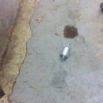 2011-11-27_15-37-42_618