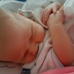 Andrew_1wk_1024px